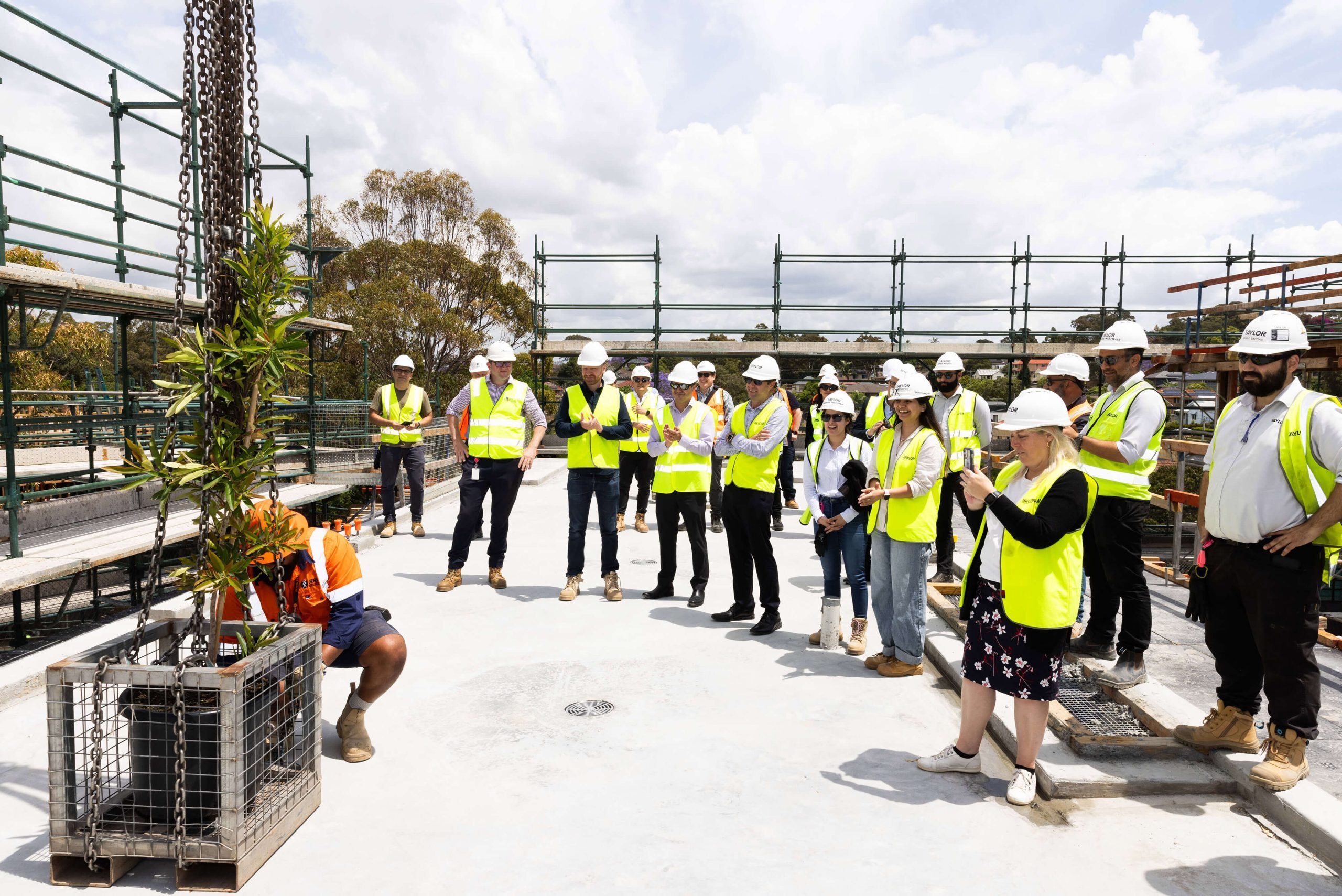 Darcy Road Public School Hits Structural Milestone