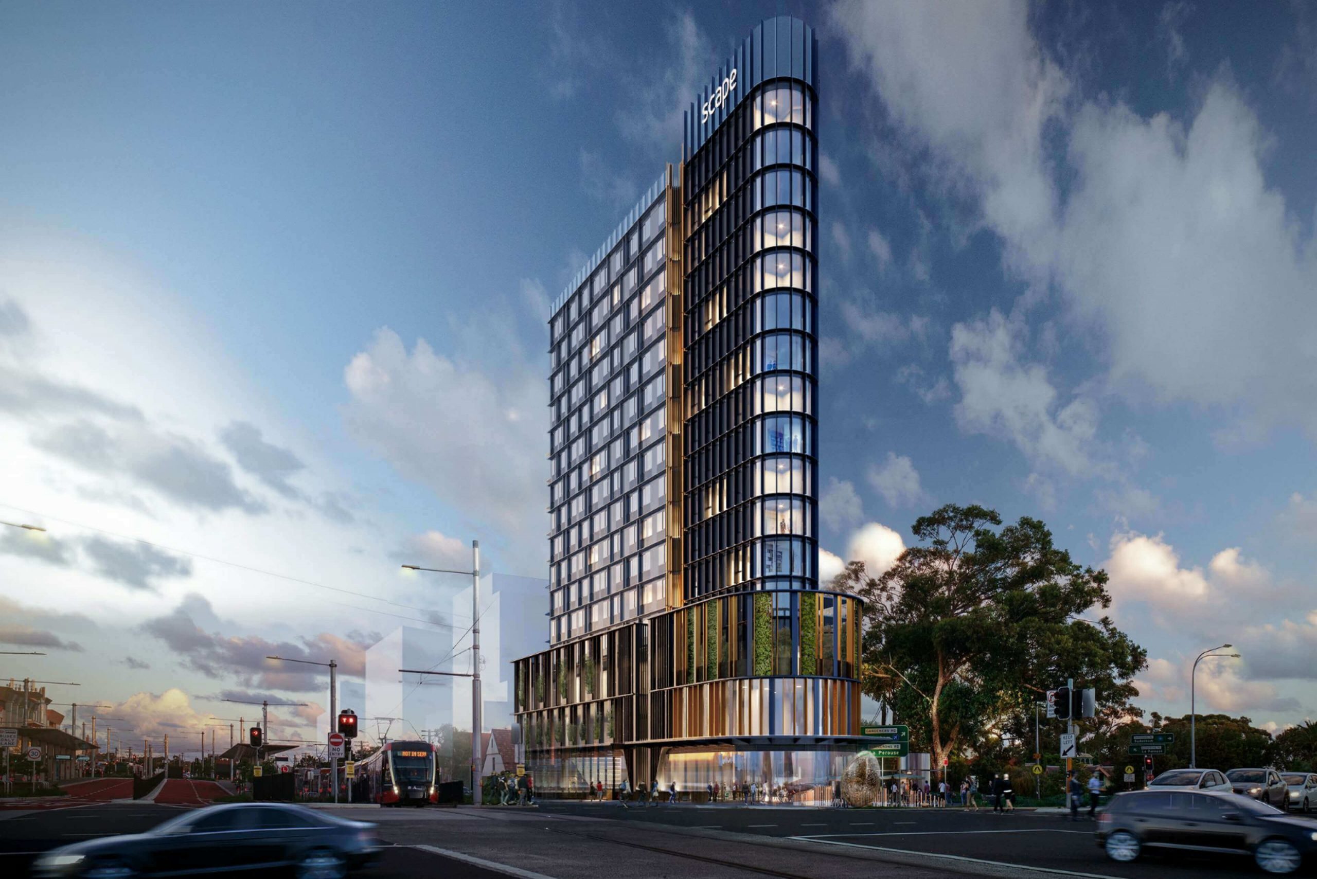 DRAFT- Scape Kingsford