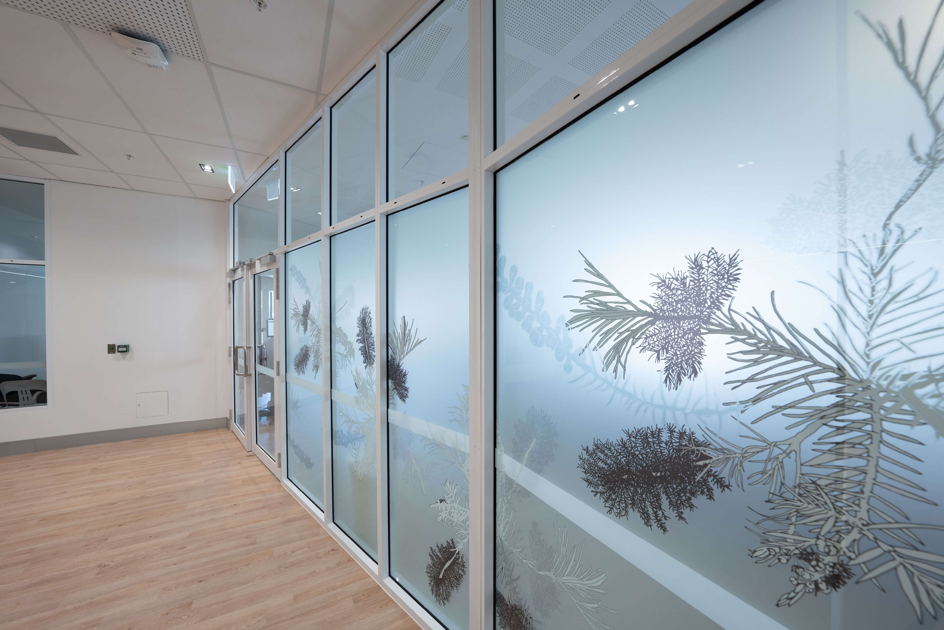 Campbelltown Hospital Redevelopment Stage 2 RW2